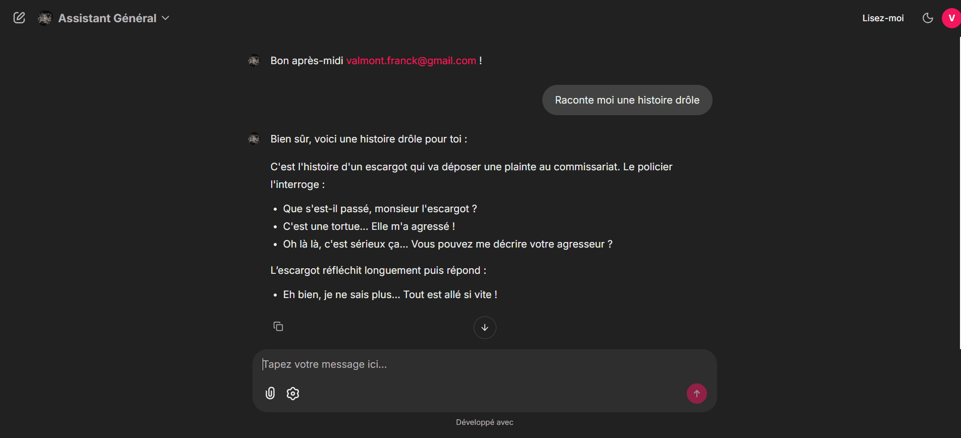 Chatbot IA — capture 2